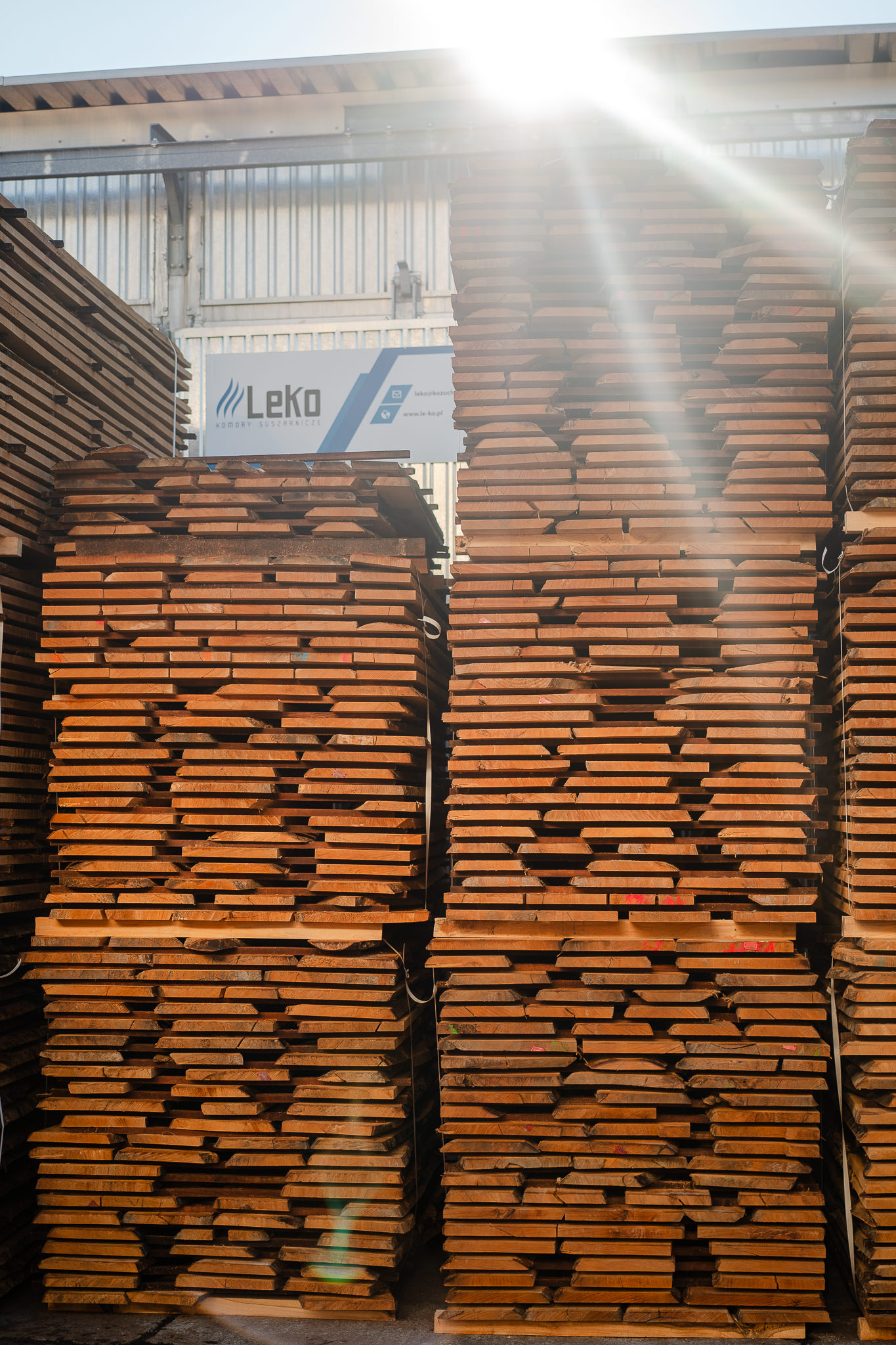 Różnice między tarcicą liściastą a iglastą oraz ich zastosowanie